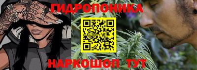 скорость Жуковский