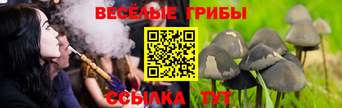 где найти наркотики  Псилоцибиновые грибы мицелий  Вход с VPN  Лосино-Петровский 